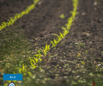 Terre Yin : douceur, humilité & soutien