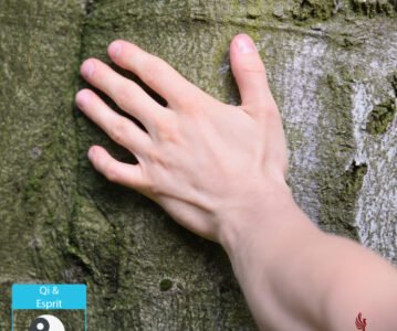 Voie du Ziran (自然), Votre Nature Authentique