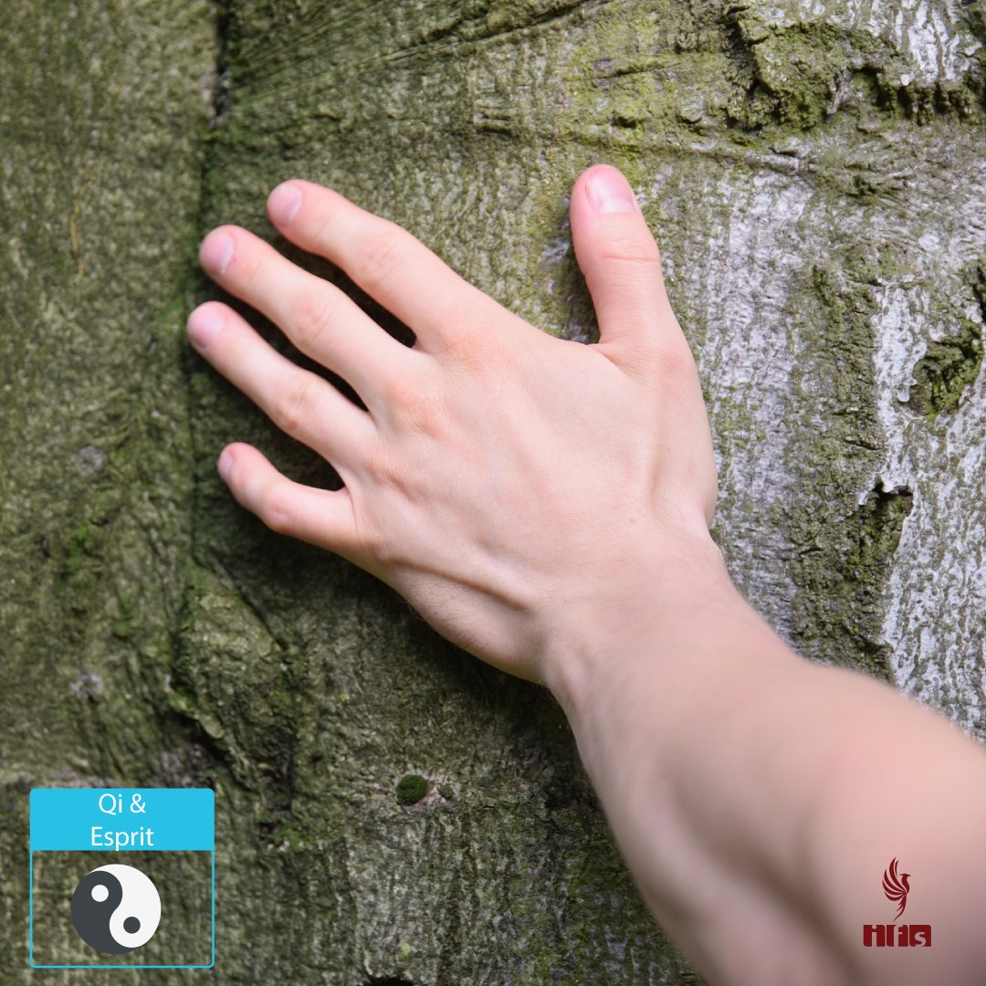 Voie du Ziran (自然), Votre Nature Authentique