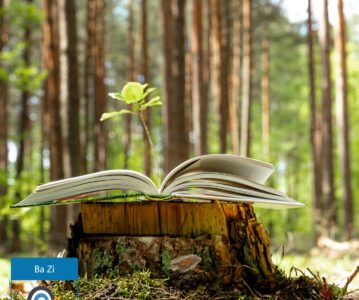 Jour Bois Yin (乙) : souplesse, stratégie et croissance discrète.