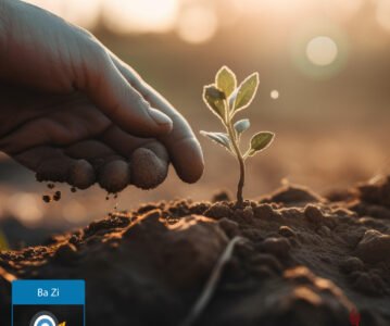 Jour Terre Yin (己) : douceur, stabilité, écoute