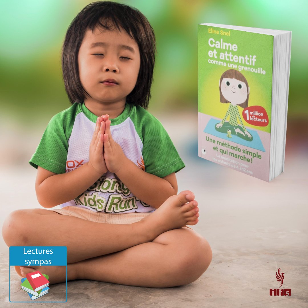 Lecture du jour : « Calme et attentif comme une grenouille » d’Eline Snel