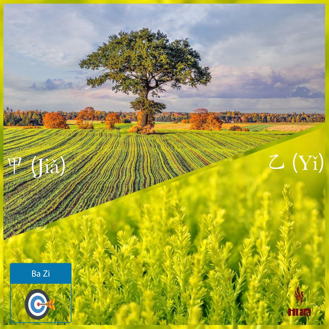 BaZi – L’élément Bois