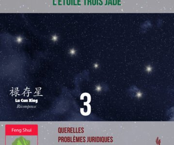 L’Étoile 3 : le Bois