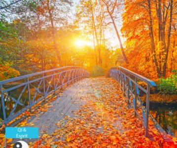 Dimanche spirituel – 21 septembre 2025
