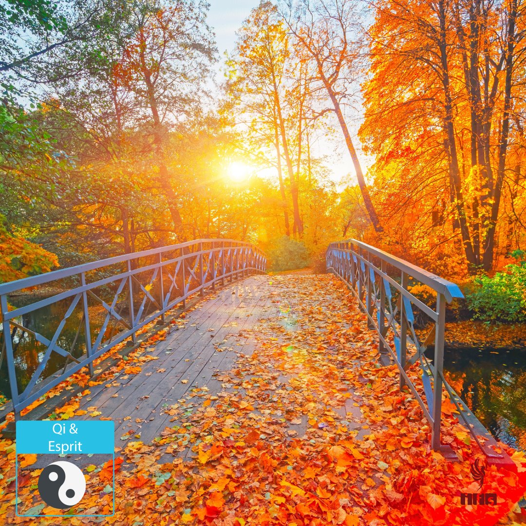 Dimanche spirituel – 21 septembre 2025