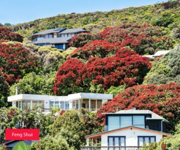 La Tortue Noire – Protection & Stabilité