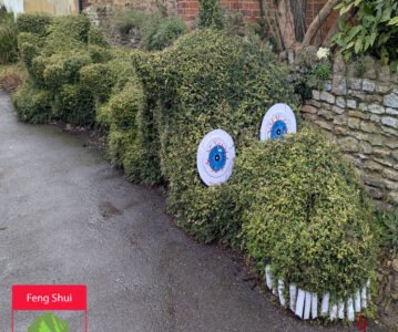 Le Dragon Vert – Vitalité & Croissance