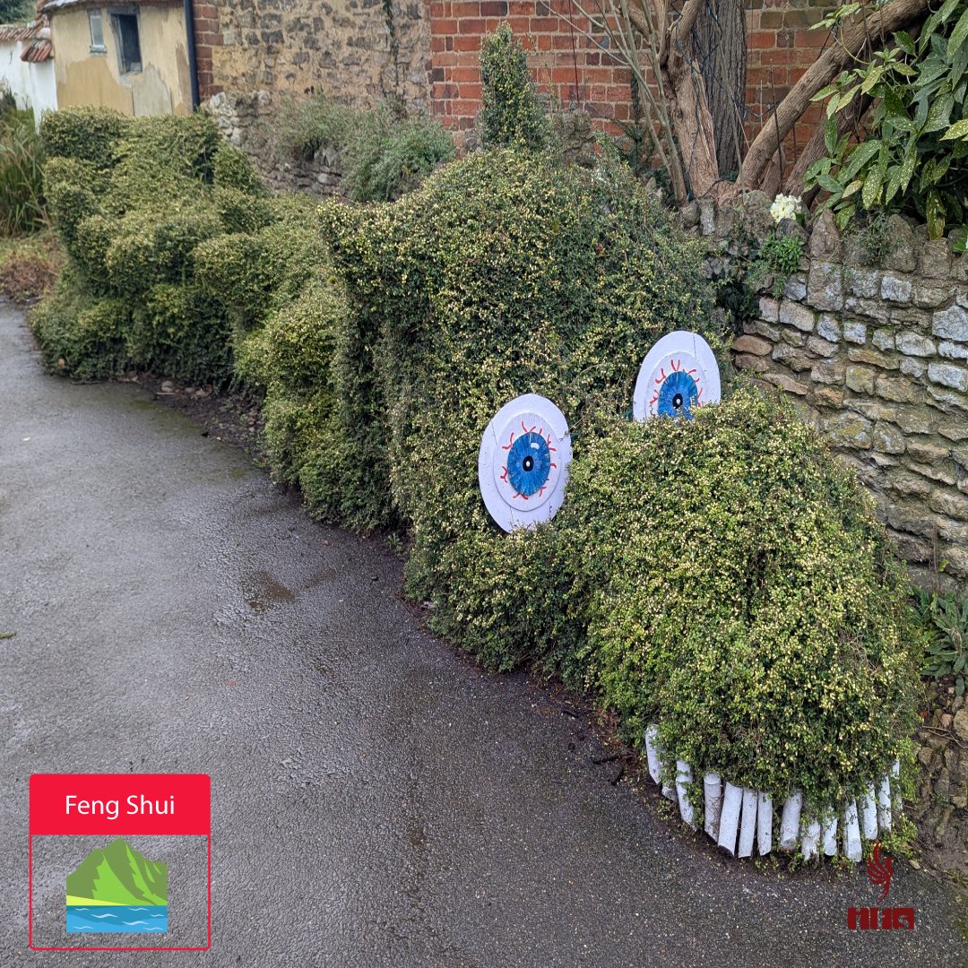 Le Dragon Vert – Vitalité & Croissance