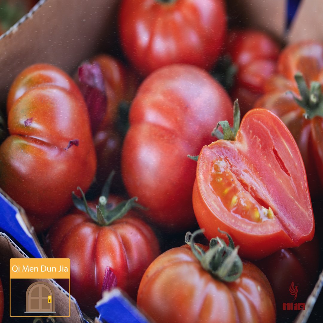 Tian Xin (天心) – L’Étoile du Cœur