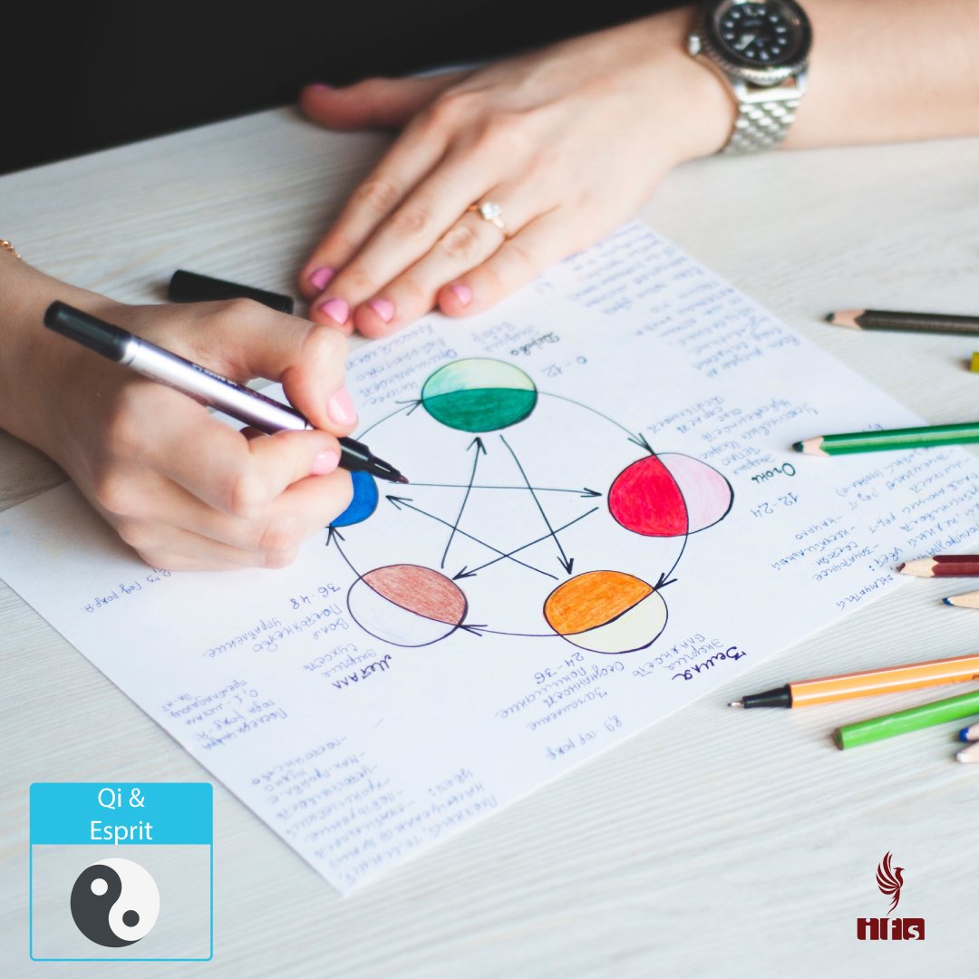 Le Wu Xing – Les Cinq Mouvements du Qi