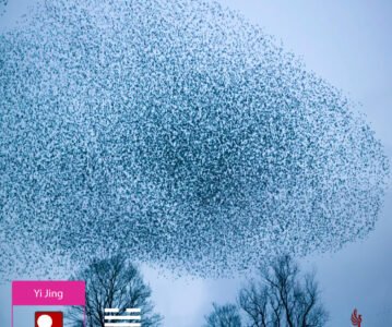 Hexagramme du jour : 17 – La Suite