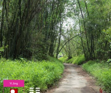 Hexagramme 15 — Qian (謙), L’Humilité