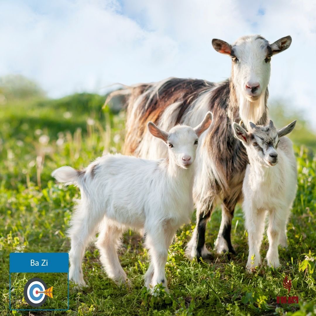 Branche Terrestre Wei (未) — La Chèvre