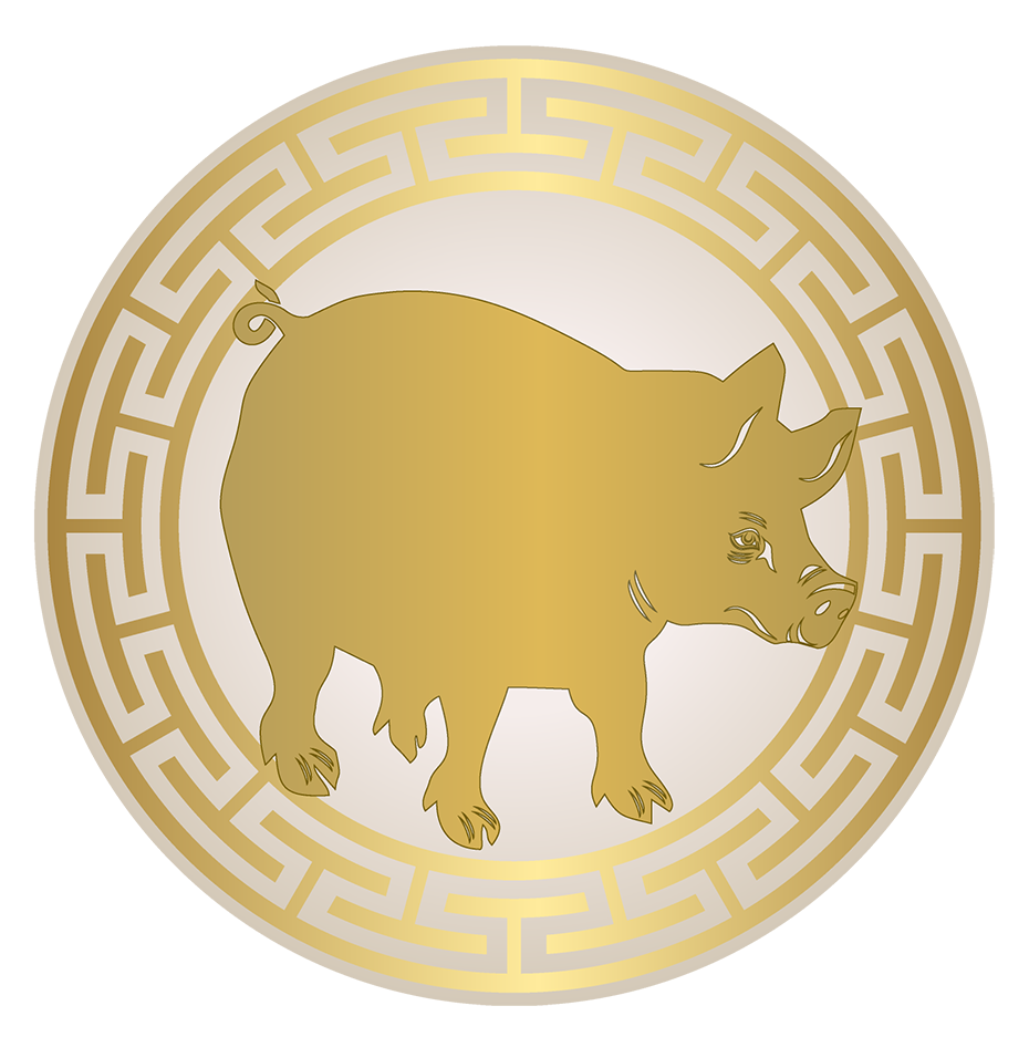 Astrological forecasts for the Pig in 2017